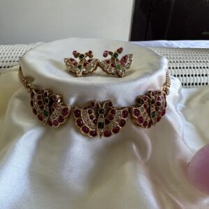 Multicolor Butterfly chocker and studs
